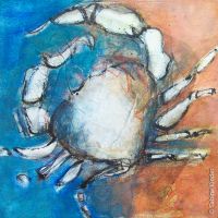 fossile_vi